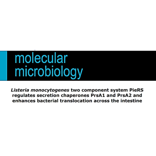 Logo of Molecular Microbiology journal