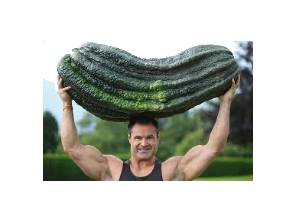 Muscular man holding a giant zucchini over his head