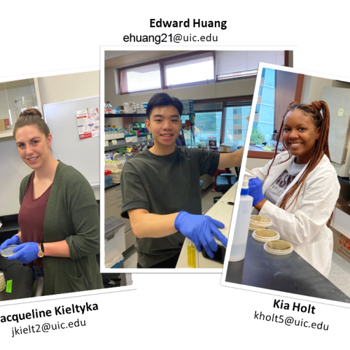 Pictures of three rotation students, Jackie standing with a petri dish, Edward in the middle in front of a centrifuge, and Kia sitting at the bench in a white lab coat