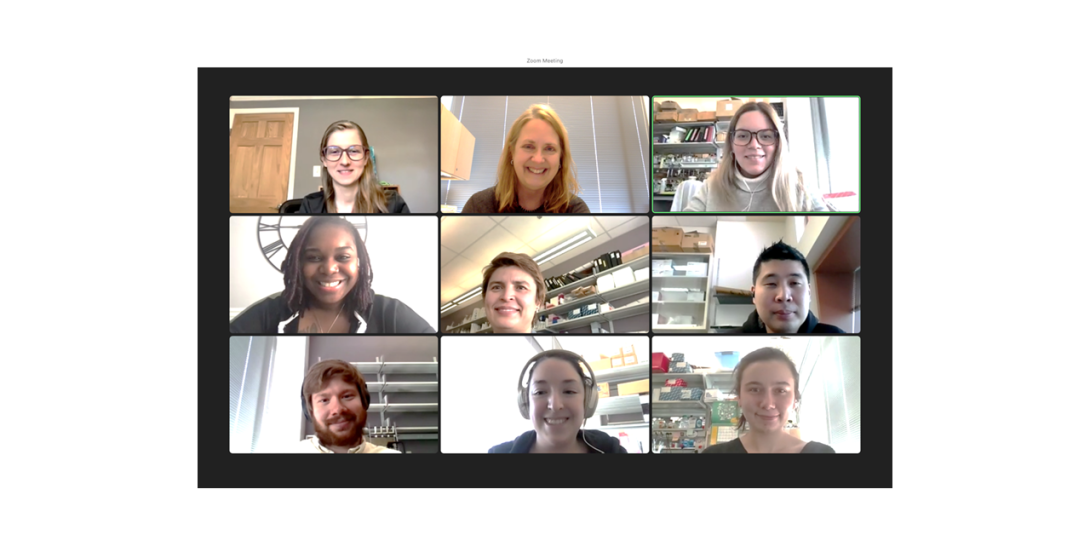 Screenshot of participants in the zoom meeting