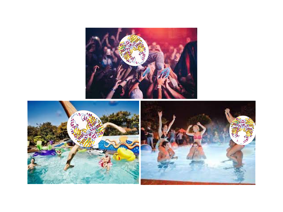 People partying at the club and in the pool