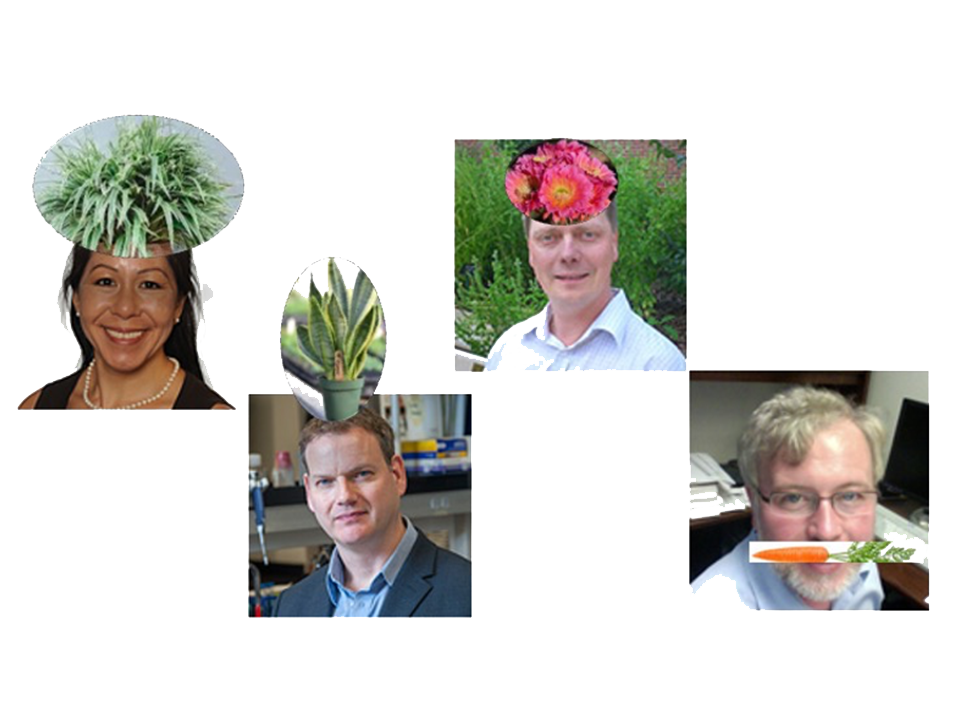 People with plants on their heads