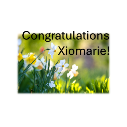 congratulations and spring flowers