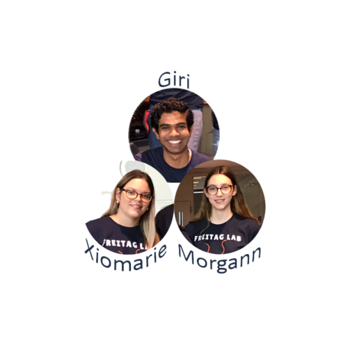 Giridhar Chandrasekharan, Xiomarie Alejandro-Navarreto, Morgann MacDonald